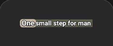 Pro Box caption style